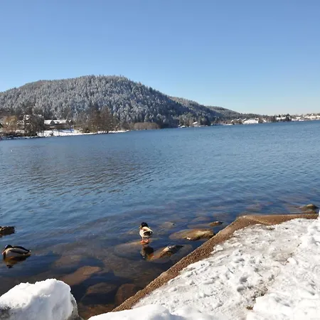 La Premiere Etoile Apartment Gerardmer