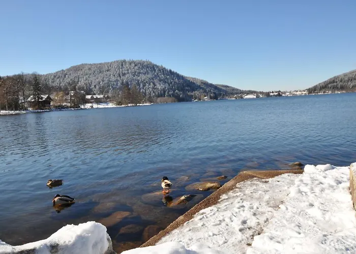 La Premiere Etoile Appartement Gérardmer